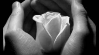 Si forever - Pino Daniele