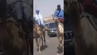 قبيلة الركَييات موريتانيا .90% يستقرون بين موريتانيا و مخيمات تندوف
