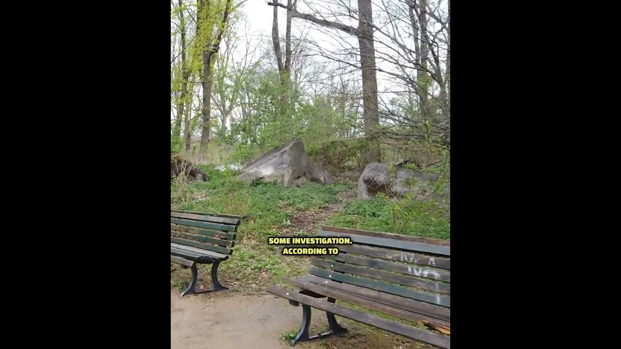 This Berlin Hill Is Actually a WW2 Bunker #berlin #wwii