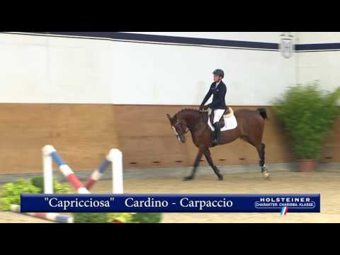 107. Capricciosa v. Cardino - Carpaccio