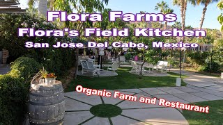 Flora Farms and Flora's Field Kitchen - Organic Farm and Restaurant - San Jose Del Cabo, Mexico