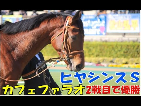【ヒヤシンスＳ】カフェファラオ・タガノビューティー・ヤウガウ3強の争いはスタート出遅れながれも直線で鬼脚炸裂カフェファラオ圧勝！2着タガノビューティーも後方から上がり最速で突っ込み実力通りの好レース！