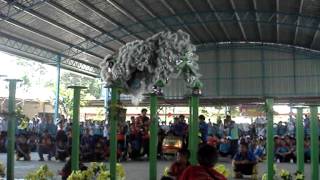 preview picture of video 'SMKB CNY Lion Dance 2013'