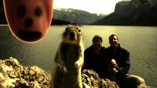 BASH & POP - Never Aim To Pizza - Turf Club, St. Paul - 9/12/15