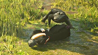 [閒聊] 有哪些作品刻意反sjw 