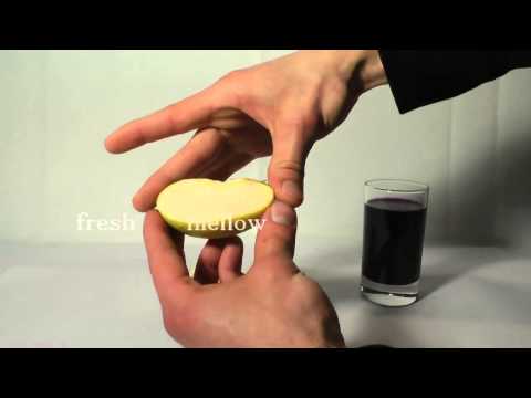 GREAT SCIENCE EXPERIMENT   Food Test   Indicator Strips   PH Solution