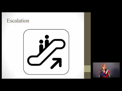 Systems Thinking and Archetypes