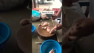Download lagu Cara potong ayam jadi 12 bagian, sangat mudah #shorts #short #shortvideo mp3