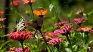 Homemade music: Track 18 - Who is playing my keyboard? version 2