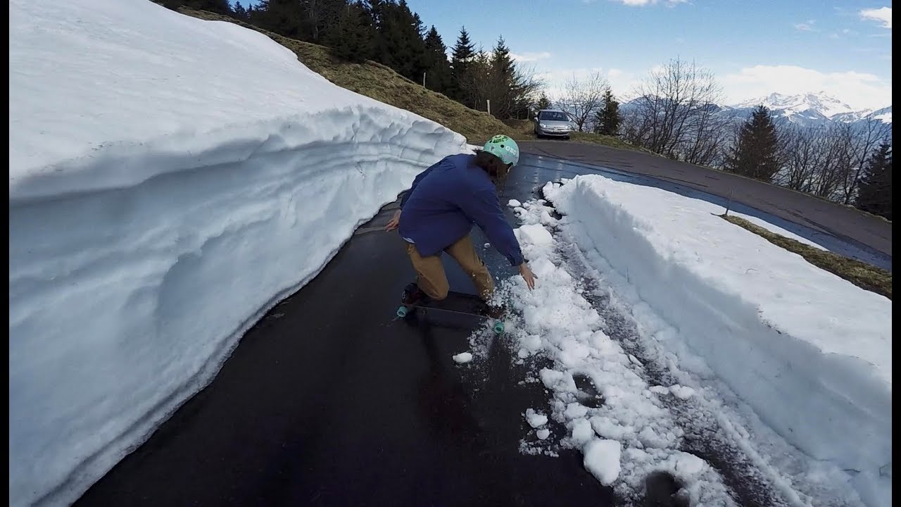 Suisse Bernard (freebord)