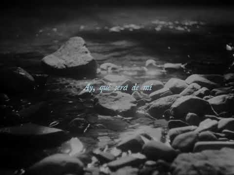 Macario Martinez - Si Te Mentí (Piano Version) (Visualizer Oficial)