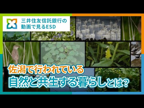 ラムサール条約 - 定義