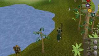 400k rc exp a day rcing method Zmi Nature runes Advanced Using Included !!!