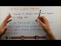 2. Sınıf  Matematik Dersi  Nesne ve Şekil Grafiği 5. Sınıf Matematik ÇETELE ve SIKLIK TABLOSU Video Dersimizde: Sıklık nedir, çetele ve sıklık tablosu nasıl oluşturulur kolayca ... konu anlatım videosunu izle