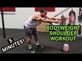 Intense 5 Minute At Home Shoulder Workout 2