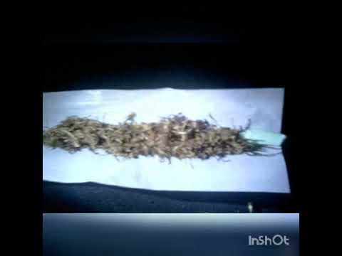 (I.D) BABYFACEDAGGZ X JON E CLAYFACE BIG GAT TING