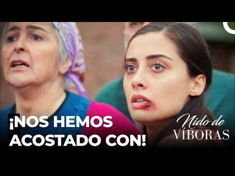 ¡Dila Lo Ha Contado Todo! 🔥- Nido De Víboras