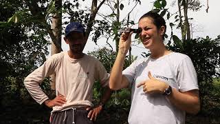 IDESAM/reNature Workshop Cafe Apui