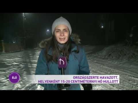 Híradó 2019.01.05. 19:30