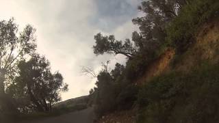 Olive trees Valdanos - Montenegro