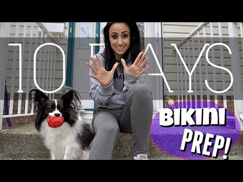 Bikini Prep | IIFYM| Macro Changes | Mini Cooper SWAG
