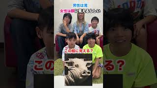 あなたはどっちに見える？男性は滝 女性は豚に見えるらしい #男性脳 #女性脳 #騙し絵