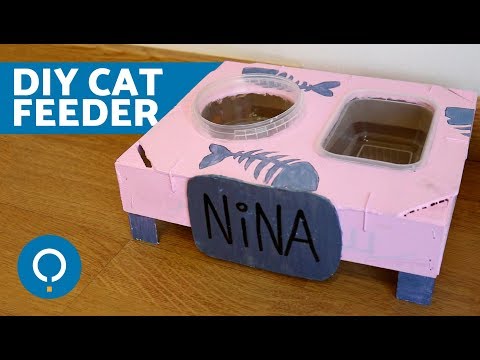download lagu mp3 mp4 Diy Cat Food Bowl, download lagu Diy Cat Food Bowl gratis, unduh video klip Diy Cat Food Bowl