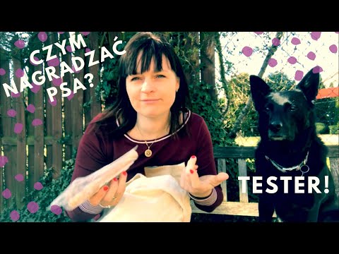 Czym nagradzać psa? Trener opowiada #23