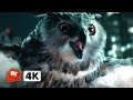 The Naked Gun 2025 4K Liam Neeson S Owl Daddy Movieclips