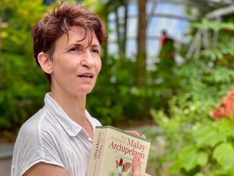 Isabelle Desjeux: Did Ali See What Wallace Saw? I Behind the Scenes