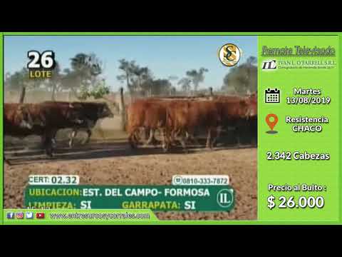 13-08-19 - Venta de Vientres - Remate Televisado de Ivan L .O.Farrell S.R.L. - Chaco