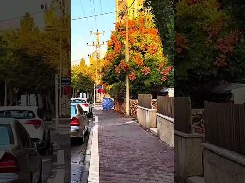 Morning Walk in Herzliya | Dawn City Tour