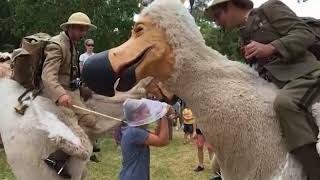 Afozic, Aperçu Vidéo