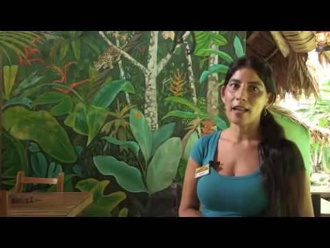 Regenwald der Österreicher - Costa Rica deutsch