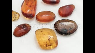  Křídový jantar SJ-19