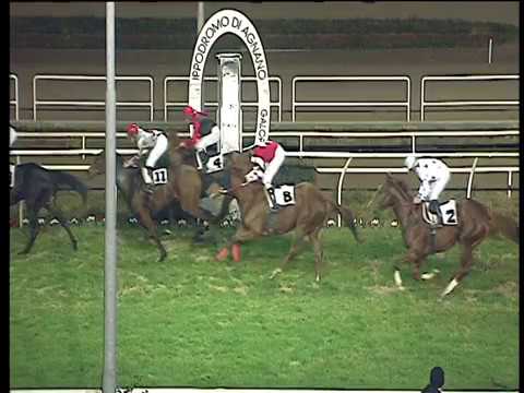 Galoppo 13/01/2018 - 6ª corsa - TRIS