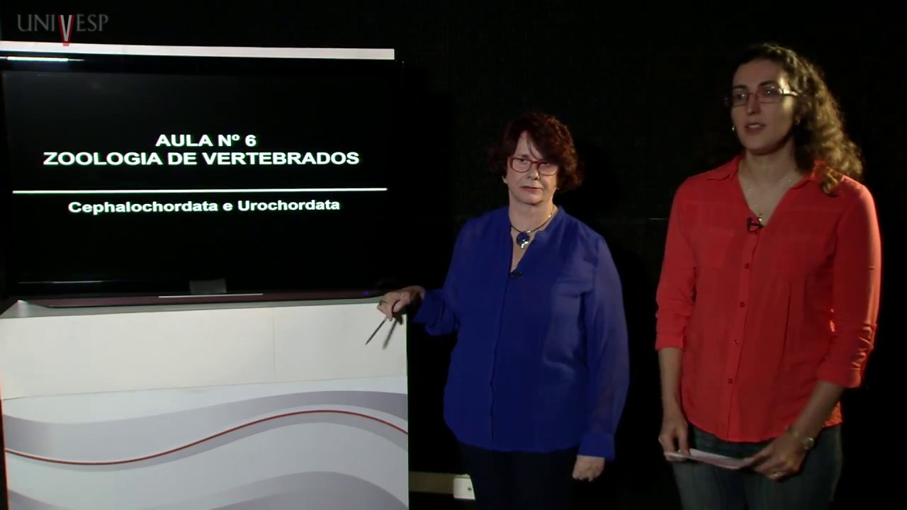 Zoologia dos Vertebrados - Aula 06 - Cephalochordata e Urochordata
