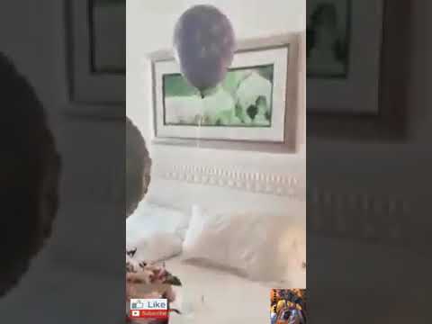 Luna Djogani - Porodicno uzivanje Lune i Marka. (L-M-M) ❤