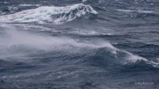 Crossing the Drake Passage - Albatross and Big Seas