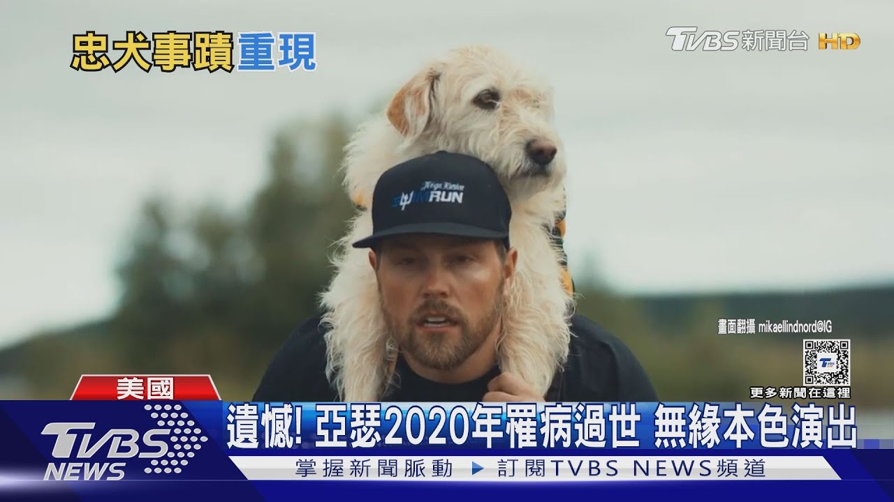 忠犬亞瑟！流浪犬陪跑參賽700公里翻拍成電影　變形金剛男主角深受感動