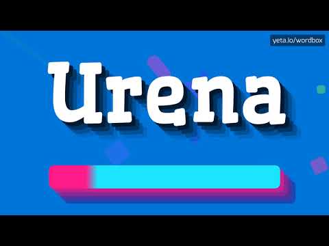 HOW PRONOUNCE URENA! (BEST QUALITY VOICES)