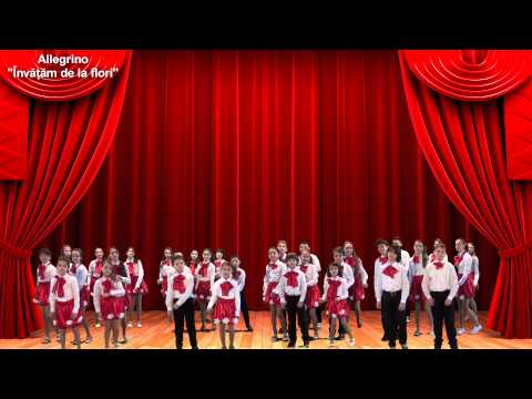 Allegrino - Invatam de la flori