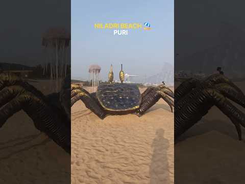 Niladri beach puri. #puri