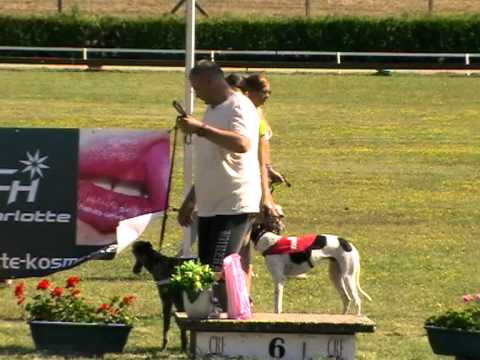 Federation Sprint & Trophy - finals 8. 7. 2012 race 14