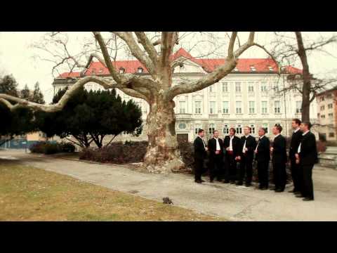 Dan ljubezni - Klapa Cambi (K. Kambelovac)