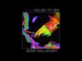 Jesse Gallagher Sound To See Vol 1 FULL ALBUM