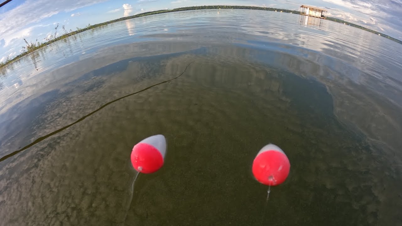 A bóia não parava de afundar só os gigantes no Rio grande,garantimos o frito do dia Pescaria