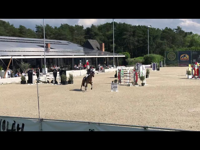 The half-brother of the grandmother is the CSI 1.45m jumping horse Ivanhoe with rider Alexandra Housen.