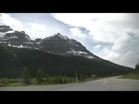 Bear Sighting in JASPER Alberta Canada - National Park - Canadian Rockies