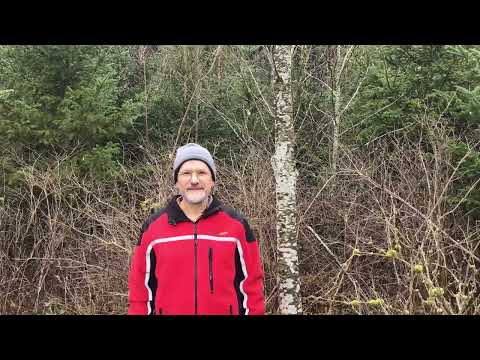 Baumartenpfad Leibertingen - HYBRIDNUSS